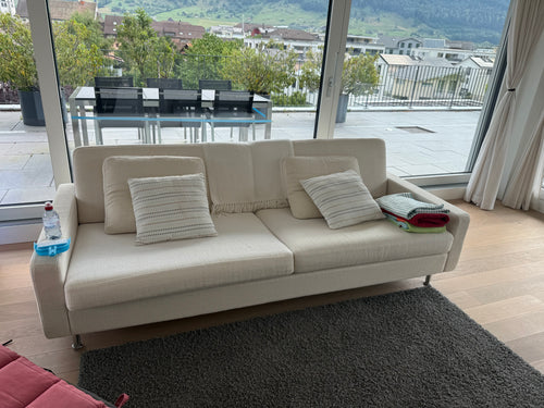 Minotti Designer Sofa